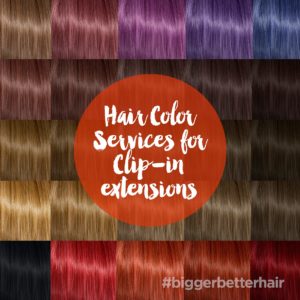 Hair Color Services for Clip-in extensions